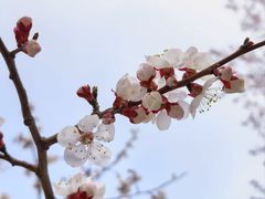 -太阳宫公园