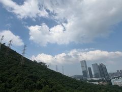 -深圳野生动物园