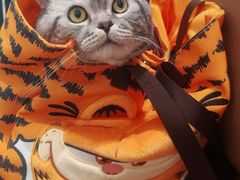 -帕帕拉兹宠物(亚洲旗舰店)