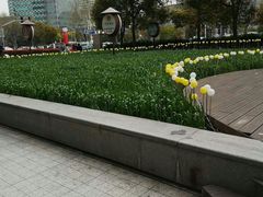 -证大喜玛拉雅中心