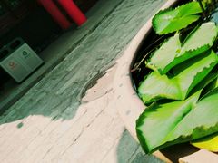 景点-长安寺