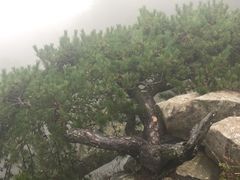 -罗田薄刀峰风景区