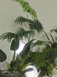 -HEYAN荷妍专业脱毛连锁机构