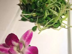 -绿茶餐厅(西单老佛爷店)