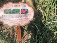 -南山植物园