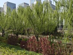-元大都城垣遗址公园