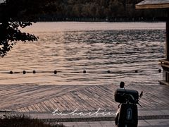 -天鹅湖体育公园