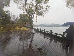 -杭州西湖柳莺里酒店·闻莺厅