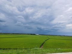 -哈拉新村