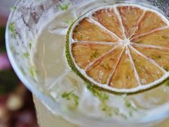 植物学家的金酒-BOR Eatery(安福路店)