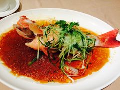 清蒸东星斑-陶陶居海鲜酒家(新马路店)
