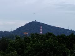 -顺峰山公园