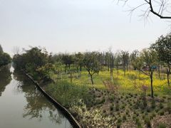 -上海长兴岛郊野公园