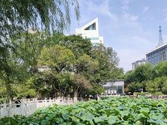 -莲湖公园
