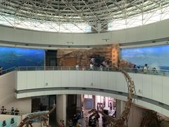 -福建博物院