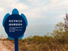 -广东惠东海龟国家级自然保护区