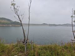 -长沙黑麋峰国家森林公园