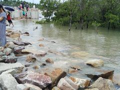 -宝安西湾红树林湿地公园