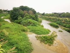 -广东花都湖国家湿地公园