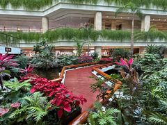 -广州白天鹅宾馆