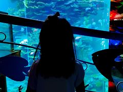 -泉城欧乐堡海洋极地世界