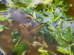 -旺泉餐饮店·清真牛肉面馆
