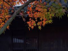-法云安缦酒店