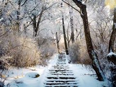 -洛阳白云山景区