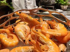 -长沙北辰洲际酒店-兰调全日餐厅