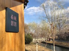 -春风习习