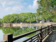 -白马涧龙池景区