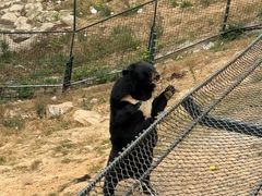 -大连森林动物园