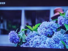 -成都百丽宫影城(LUXE太古里店)