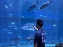 -华夏文旅海洋公园