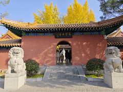 -戏马台景区
