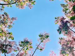 -太阳宫公园
