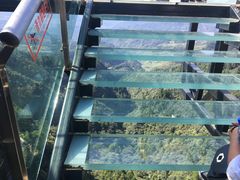 -梦幻奥陶纪景区