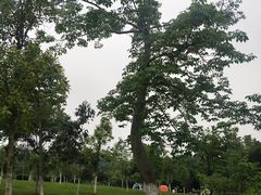 -东莞植物园