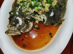 清蒸多宝鱼-花好悦园(瀛洲店)