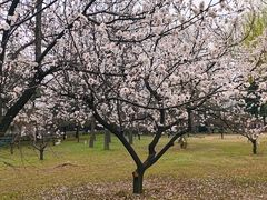 -黄河富景生态世界