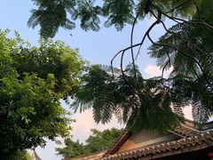 -房湖公园