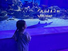 -常州海昌海洋探索馆