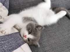 -肯德基(孝陵卫地铁站店)