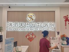 -瑞派·关忠动物医院·猫专科·犬专科(三环新城店)