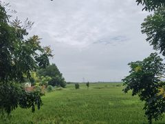 -泗洪洪泽湖湿地景区