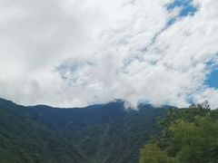 -卧龙中华大熊猫苑神树坪基地