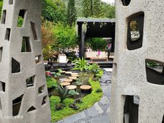 -深圳仙湖植物园