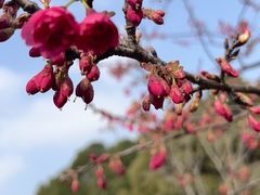 -徐家汇公园