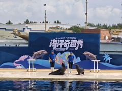 -秦皇岛乐岛海洋王国