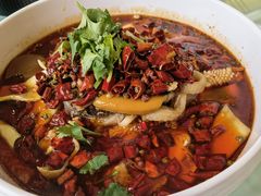 精品毛血旺-成都驻京办餐厅(蜀都宾馆店)